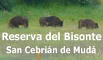 Reserva de Bisontes de San Cebri�n de Mud�